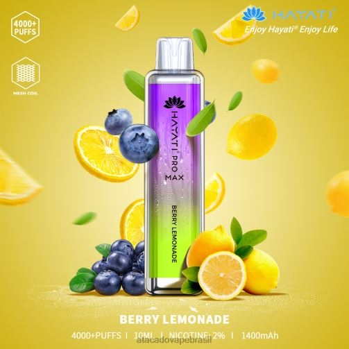 limonada de frutas vermelhas