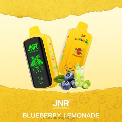 limonada de mirtilo