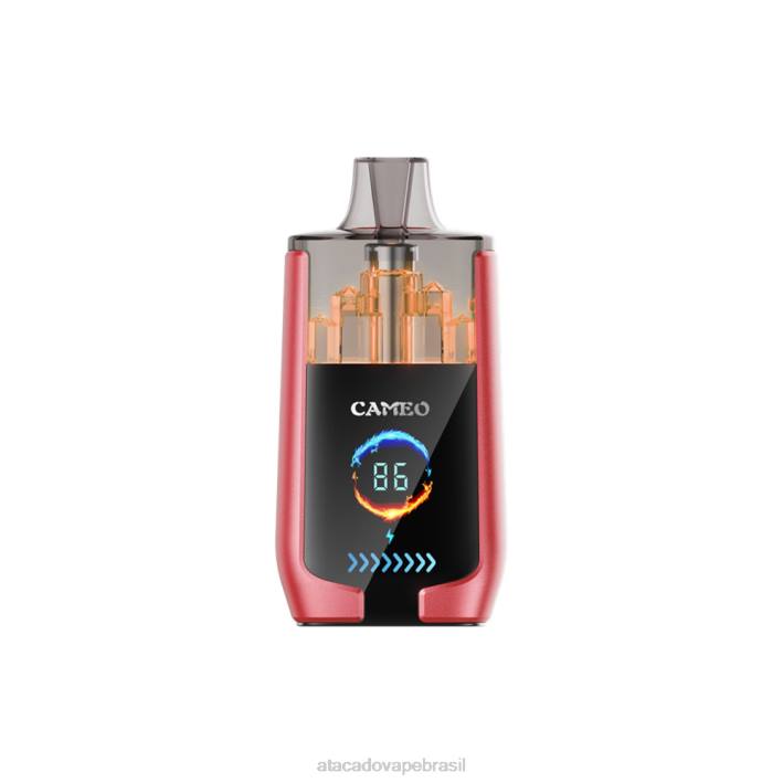 LAVIE CAMEO 30.000 baforadas D66Z14 | Cigarro Eletronico Vape gelo de melancia