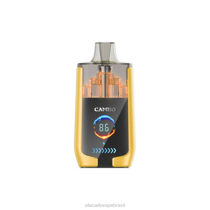 LAVIE CAMEO 30.000 baforadas D66Z21 | Cigarro Eletronico Vape gelo de manga